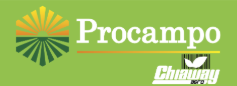 PROCAMPO S.A.