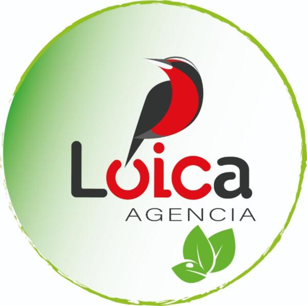 AGENCIA PUBLICITARIA LOICA SpA