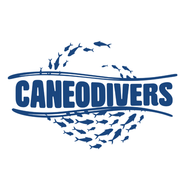 CaneoDivers SpA