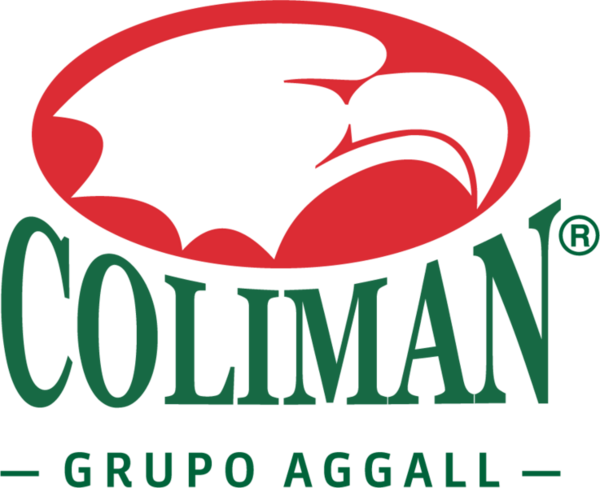 Corporativo de Empresas AGGALL