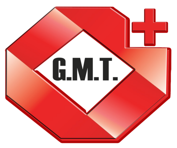 Trabajo en Constructora GMT Ltda.