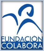 FUNDACION COLABORA