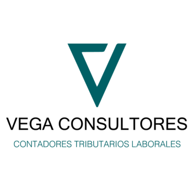 VEGA CONSULTORES LTDA