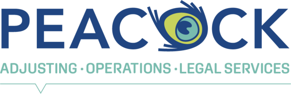 Insurance Claim & Risks Mexico