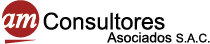 AM CONSULTORES ASOCIADOS SAC