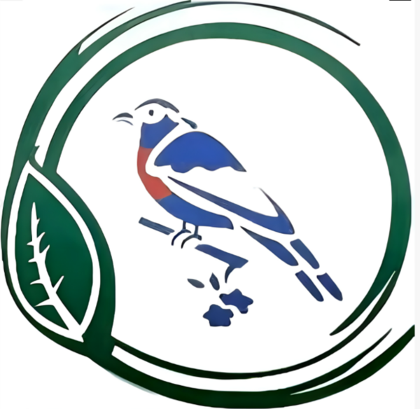 SERV. GENERALES MANTENIMIENTO HUANCHAQUITO SRL