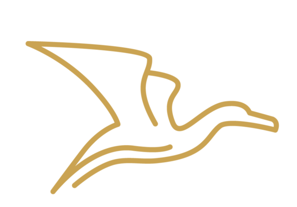 The Cormorant at 55 south