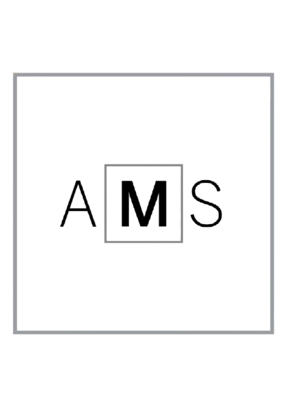 AMS SERVICIOS INTEGRALES SPA