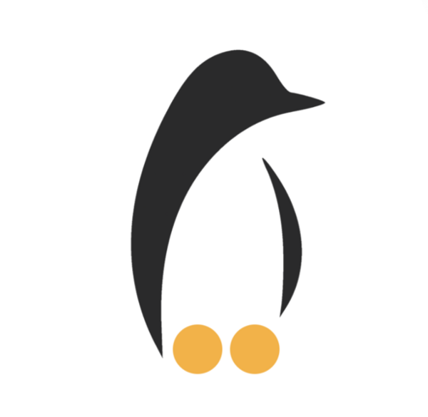 Piwiit Technologies