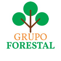 Trabajo en GRUPO FORESTAL DEL PERU S.A.C.