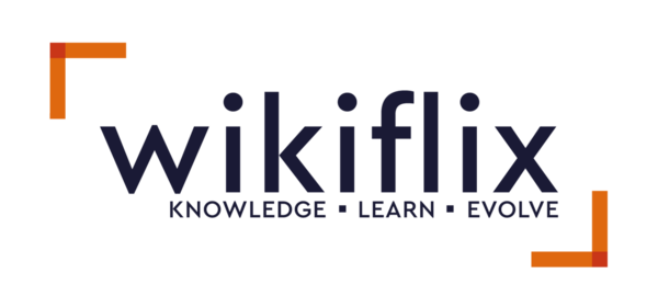 Trabajo en Wikiflix SpA