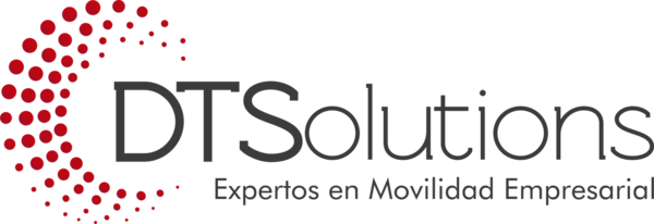 DTSOLUTIONS, S.A.