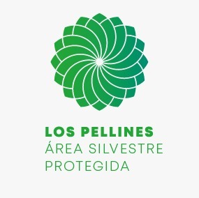 SOCIEDAD LOS PELLINES LTDA