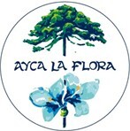 Ayca La Flora Hotel Boutique