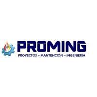 PROMING LTDA.