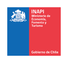 Instituto Nacional de Propiedad Industrial