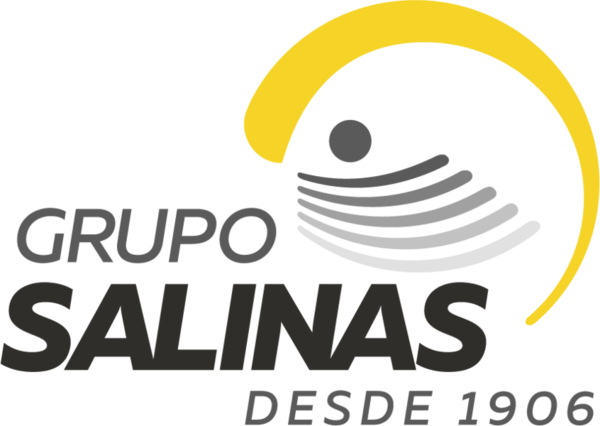 Trabajo en GRUPO SALINAS