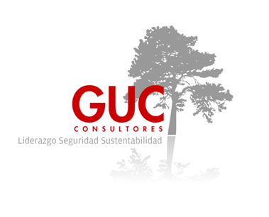 Trabajo en GUC consultores SpA