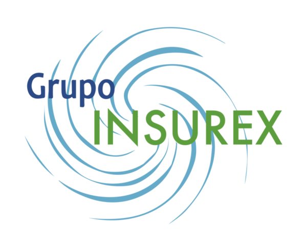 Trabajo en Grupo Insurex