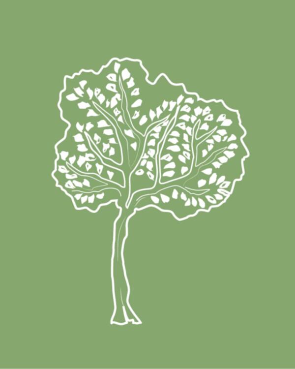 ACTIVIDADES DE SERVICO DE COMIDA MARIA JOSEFA PACHECO ISLA E.I.R.L.