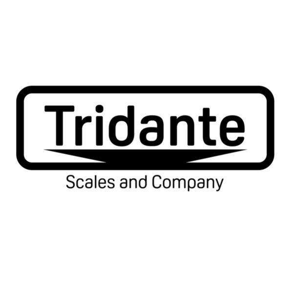 Tridante Scale and Company Limitada