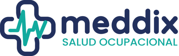 MDS WORK GROUP S.A.C.