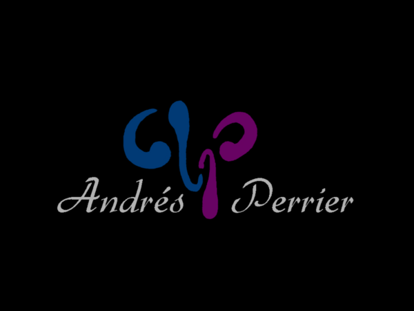 Andres Perrier Eventos Limitada