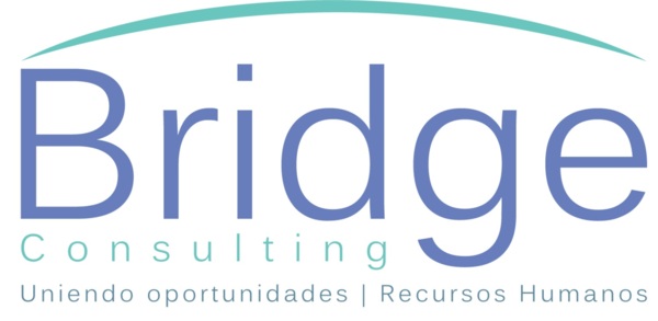 Bridge Consulting