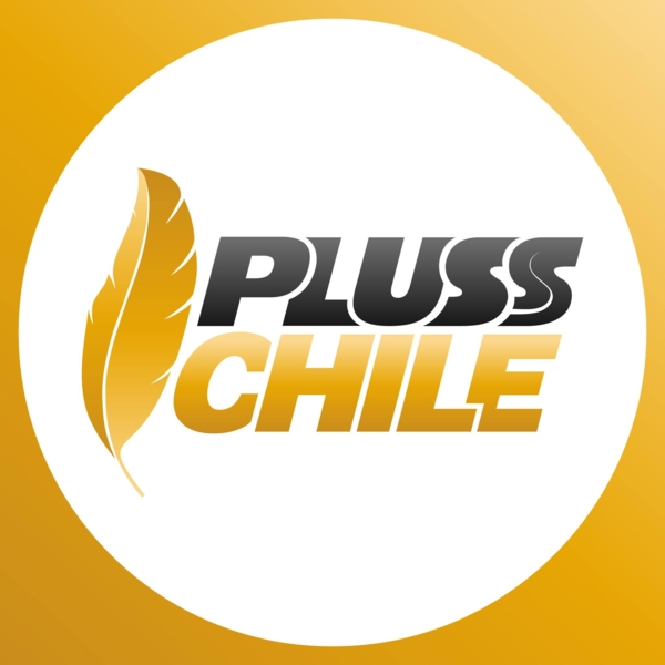 Trabajo en Transportes Pluss Chile Gaspar Cikutovic Madariaga EIRL