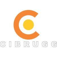 CIBRUGG LTDA