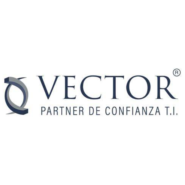 VECTOR SERVICIOS Y ASESORÍAS SPA