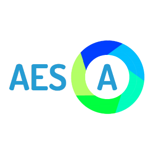 AESA Consultora SpA