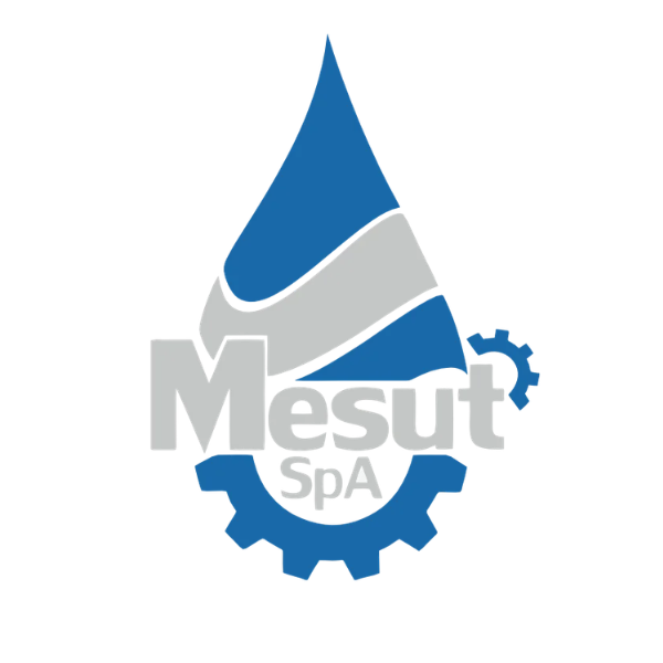SOCIEDAD DE SERVICIOS MESUT SPA