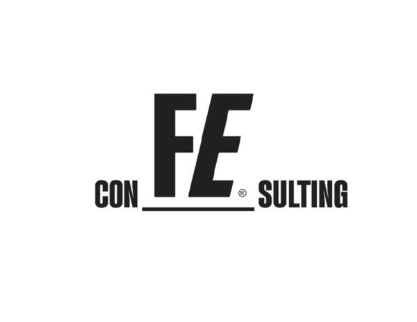 Fe Consulting