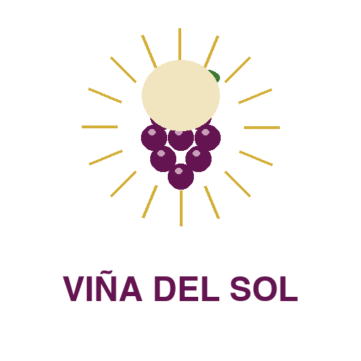 Viña del Sol S.A.
