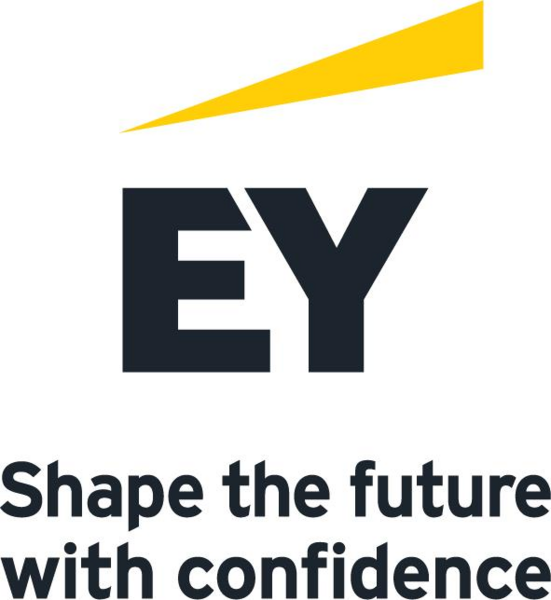 Trabajo en Ernst & Young S.R.L.