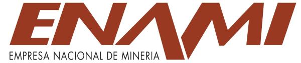 EMPRESA NACIONAL DE MINERIA