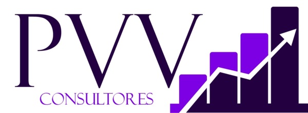 PVV CONSULTORES 