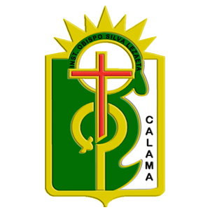 Trabajo en Instituto Obispo Silva Lezaeta