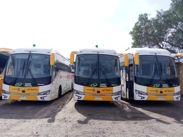 Trabajo en TRANSPORTES PULLMAN YURIS LIMITADA