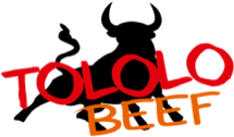 Restaurant Tololo Beef