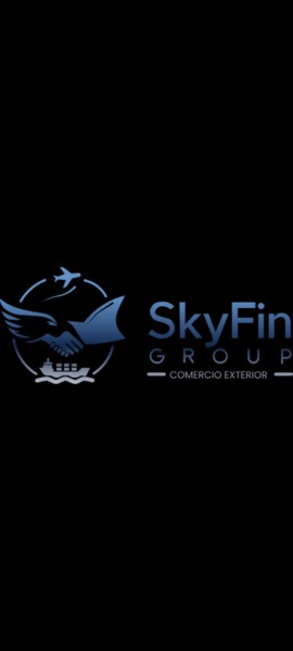 SkyFin Group SpA