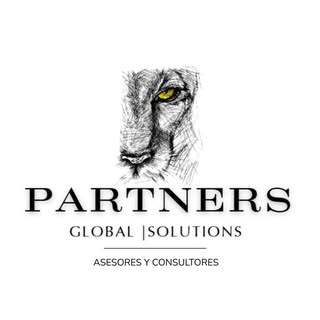 Consultoria y Asesoria Global Partners Solution