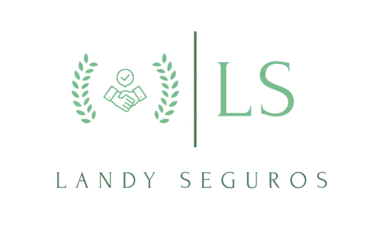 Landy Seguros