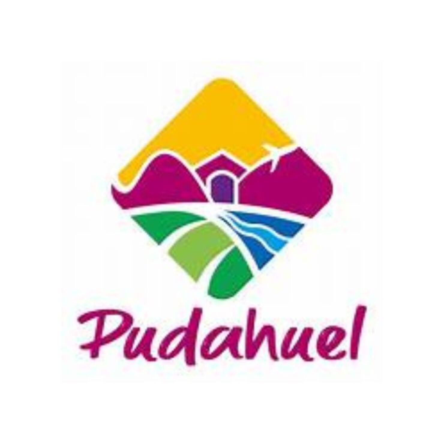 Práctica en Ilustre Municipalidad de Pudahuel