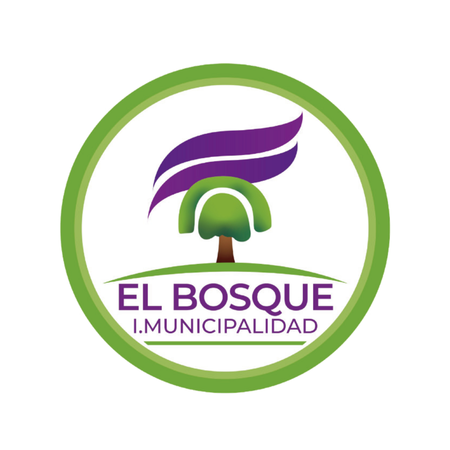 Práctica en Ilustre Municipalidad de El Bosque