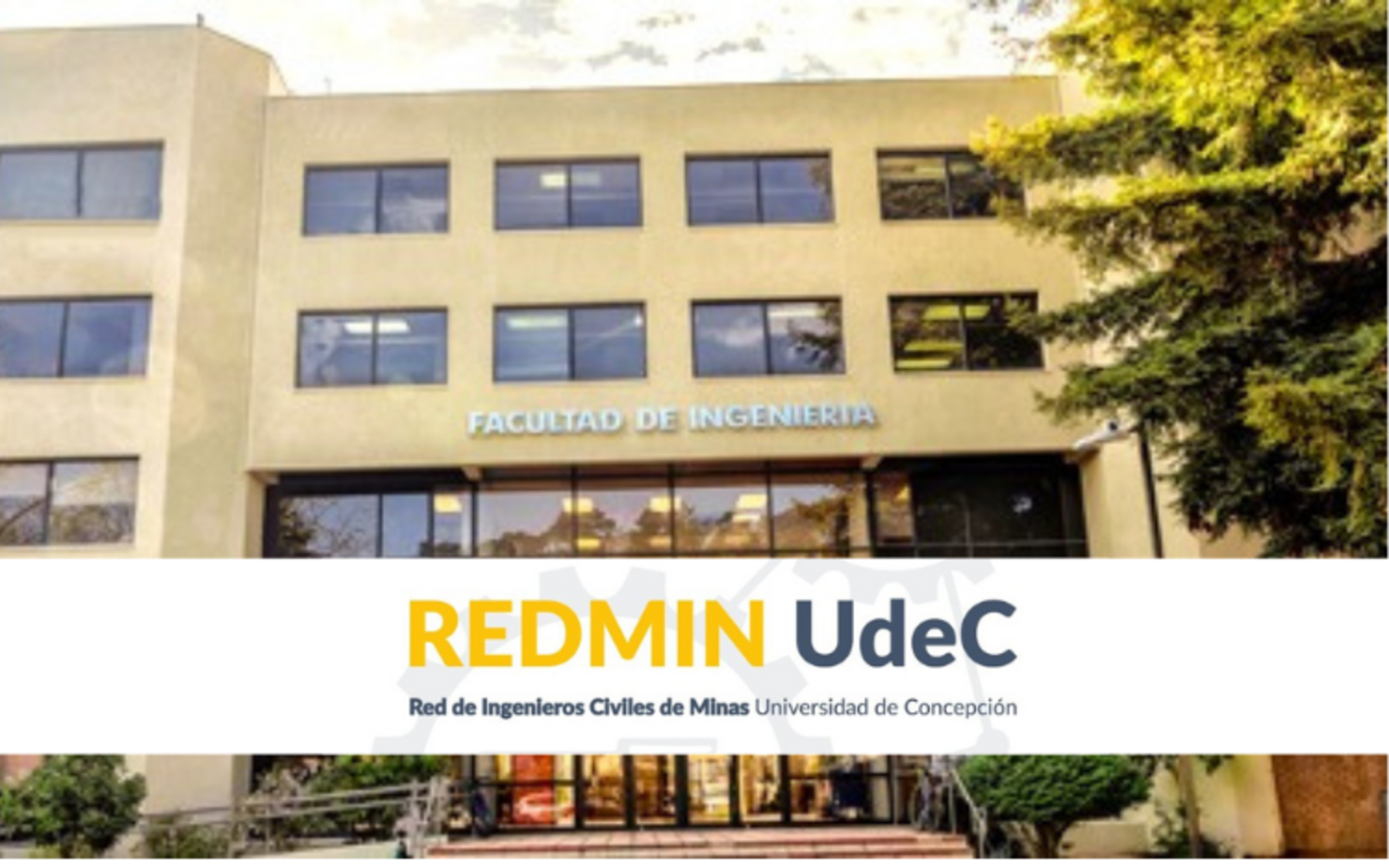 RedMIn
