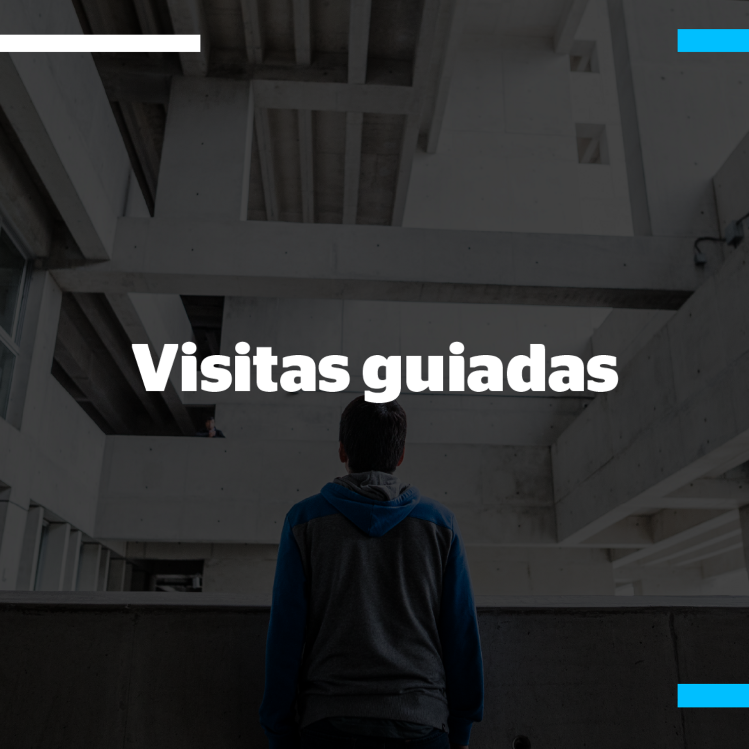 VISITAS GUIADAS A EMPRESAS