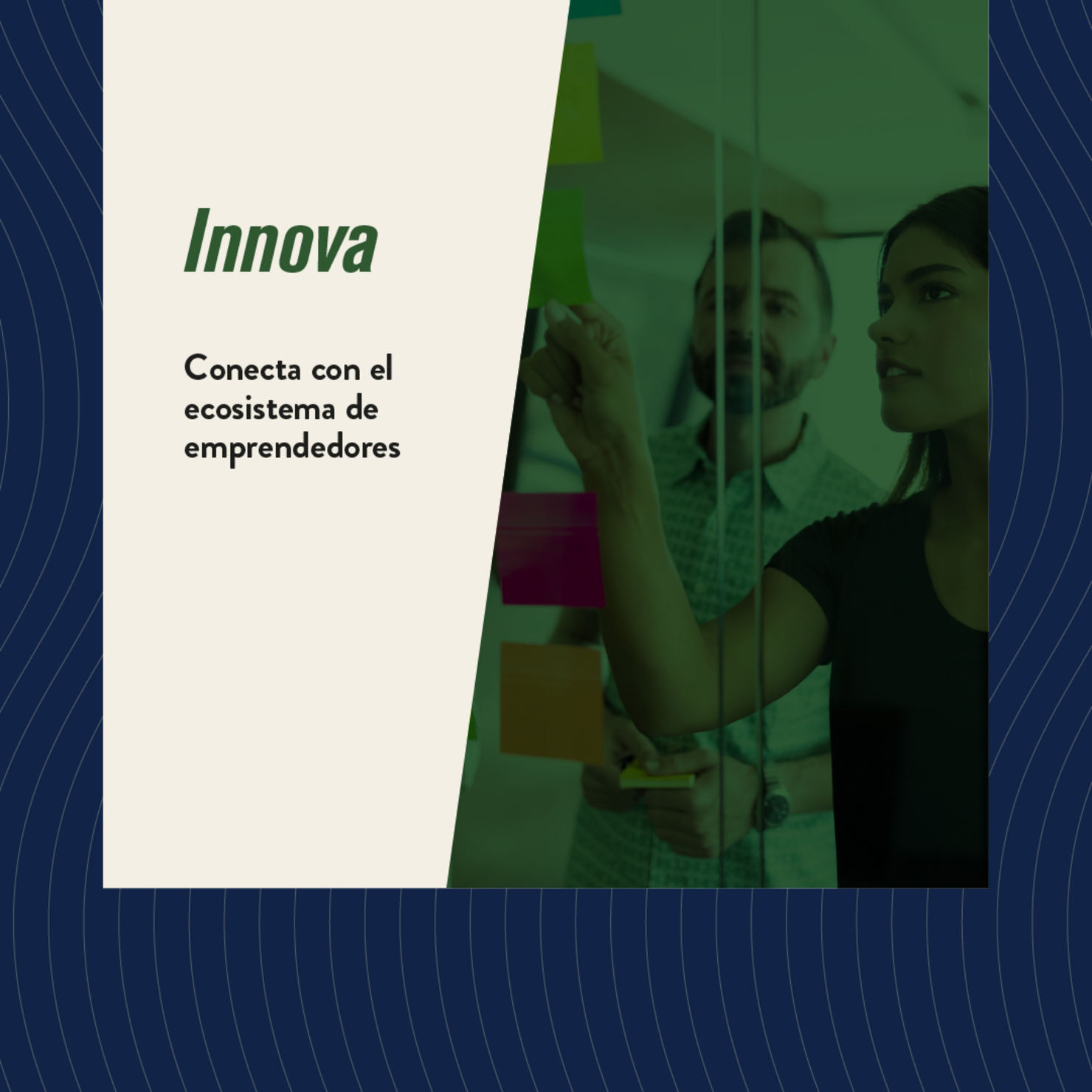 Aplicación de Machine Learning para la prevención de fraude, con Management Solutions