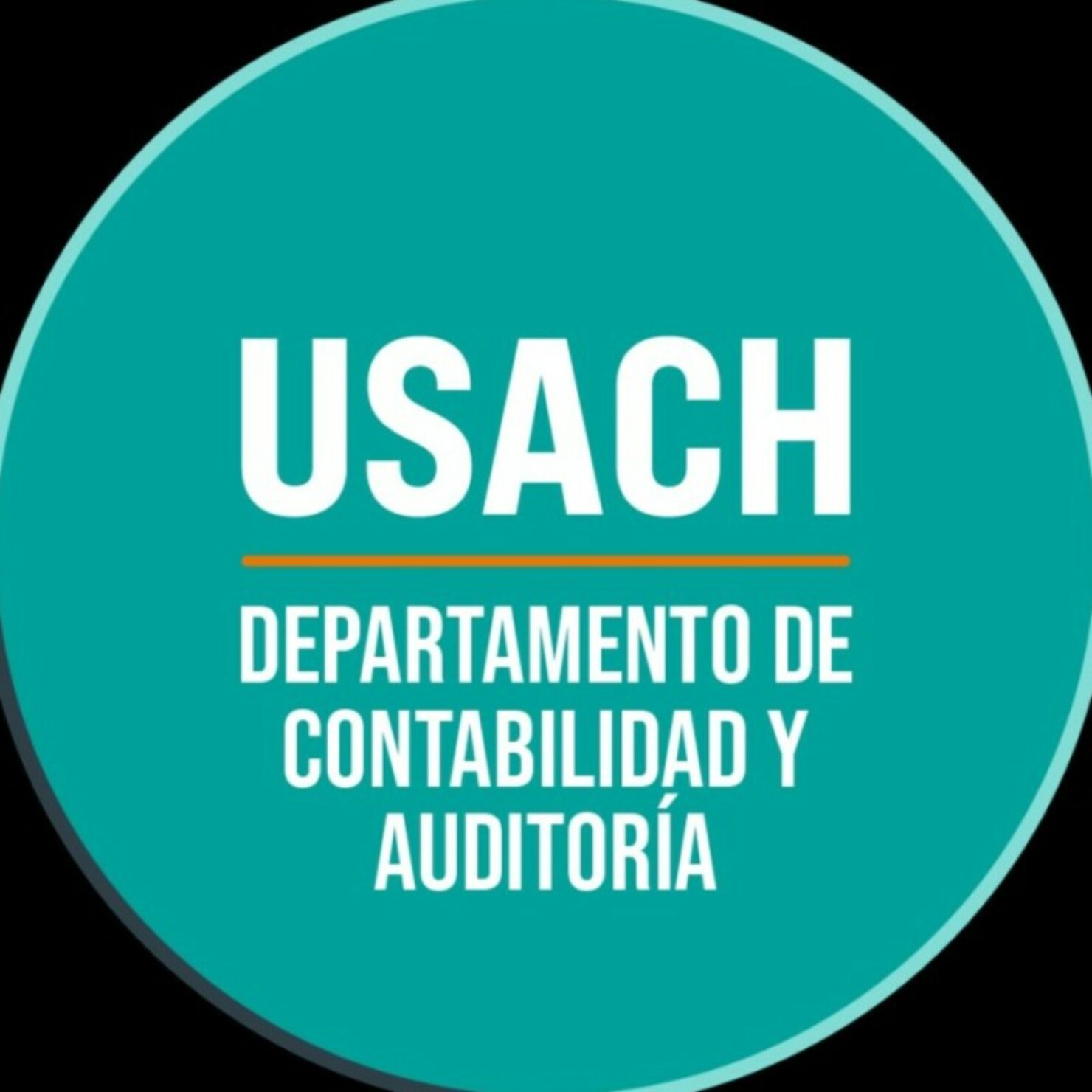 Departamento de Contabilidad y Auditoría